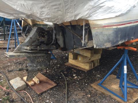 Picture of the drive on the back of the boat, 6 months after painting, with marine growth all over the new paint job